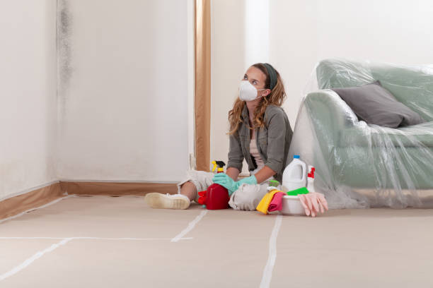 Reliable Mold Testing contractor in Hampstead, MD by WQB Mold Removal